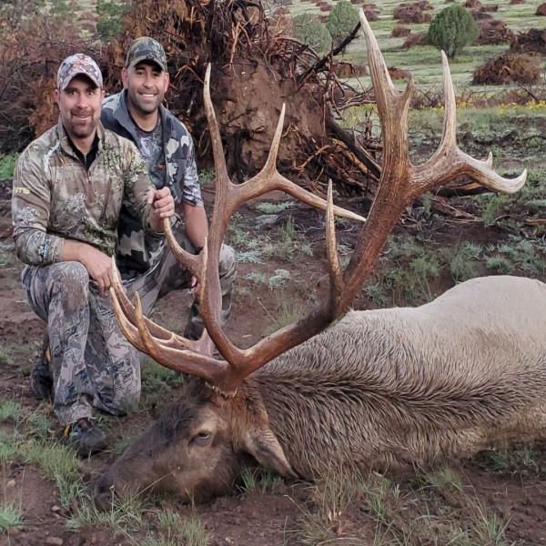 Tim Rozinski --
New Mexico 8x7 Elk --
Date: 9/30/19 --
Gun Kill:  387"